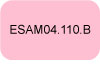 ESAM04.110.B-Bouton-texte.jpg