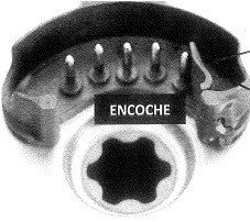 Bol avec encoche TM5