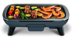 Plaque de cuisson pour barbecue / plancha des SAVEURS TEFAL - 46 x 30 cm