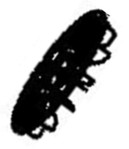 Hlice infrieure droite pour friteuse air fryer Moulinex Easy Fry Dual Flex EZ9228F0 - EZ922DF0