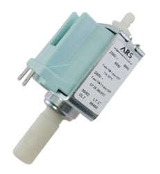 Pome � eau bleue - Q38