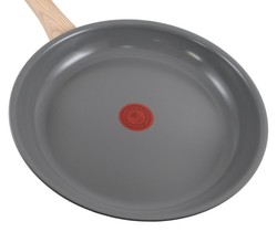 Pole Tefal grise 28 cm de diamtre  gamme Renew tous feux + induction