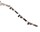 Lot de 5 cosses femelles 2,8 mm