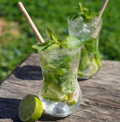 Kit meilleurs  verre  mojito avec pilons individuels de marque Cookut
