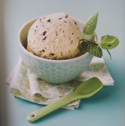 Glace menthe chocolat