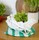 Essoreuse  salade compacte  en coton et polyester recylc de marque Cookut