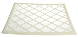 Grille filtre pour purificateur d'air AC 75 Delonghi