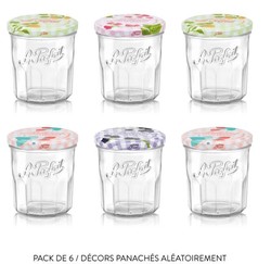 Lot de 6 confituriers 324 ml collection Vichy Le Parfait