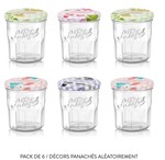 Lot de 6 confituriers 324 ml collection Vichy Le Parfait