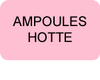 Ampoules-hotte-btn