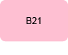 B21 bouton