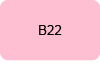b22 bouton