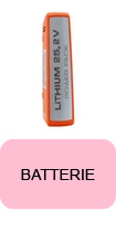 Batterie pour aspirateur