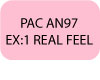 PAC AN97 EX:1 real feel clim delonghi