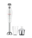 DD452110/870 Mixeur Moulinex Easychef