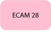 ECAM-28-Bouton-texte.jpg