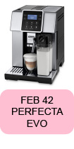 Pièces détachées Perfecta Evo Delonghi FEB42