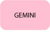 GEMINI-Bouton-texte-Hoover.jpg