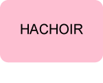 hachoir moulinex