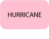 Hurricane-Aspirobatteur-Hoover-Bouton-texte.jpg