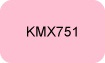 Bouton texte avec inscrit "KMX751"