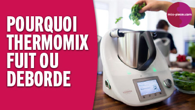 Thermomix fuit ou déborde