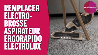 Changer électro-brosse Ergorapido Electrolux