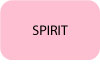 Spirit-Aspirobatteur-Hoover-Bouton-texte.jpg