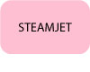 STEAMJET-Bouton-texte-Hoover