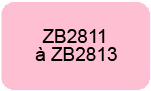 Pièces détachées & accessoires Aspirateurs balai sans sac RAPIDO ZB2811-ZB2813 ELECTROLUX
