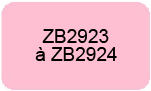 Pièces détachées & accessoires Aspirateurs balai sans sac RAPIDO ZB2923 à ZB2924 ELECTROLUX